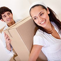 br4 domestic removals