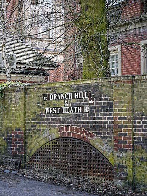 A brick archway with a metal grille at its base, situated beneath a moss-covered brick wall, features a white and black directional sign pointing towards Branch Hill and West Heath Road, with an adjacent large tree with bare branches behind the wall. In the background, the upper part of a residential building with red brick walls and white-framed windows is visible, along with a tiled roof. The scene is outdoors with natural daylight, and the image relates to house removals and moving services by Man with Van West Wickham, set in the context of an urban street environment likely within the West Wickham area, highlighting the typical street signage and infrastructure involved in home relocation and furniture transport as part of packing and moving processes.