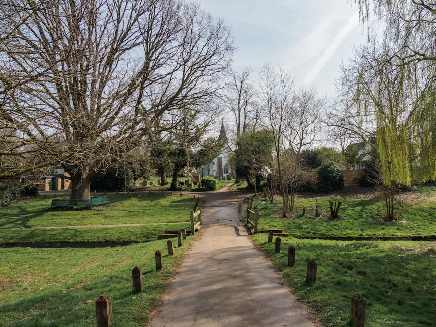 A straight pathway in West Wickham Common featuring a concrete walking trail bordered by low wooden posts, leading through a park-like setting with various trees, some with bare branches and others with green foliage or hanging yellow-green weeping branches. The path passes over a small wooden bridge, and the background reveals a church steeple partially visible behind the trees and shrubbery. The scene is illuminated by daylight with a clear sky overhead, providing a calm and natural environment suitable for home relocation and outdoor activities, illustrating the accessibility and parking considerations for removals services offered by Man with Van West Wickham.
